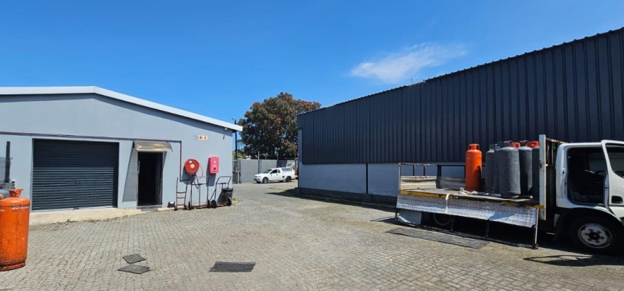 Commercial Property for Sale in Arcadia Eastern Cape